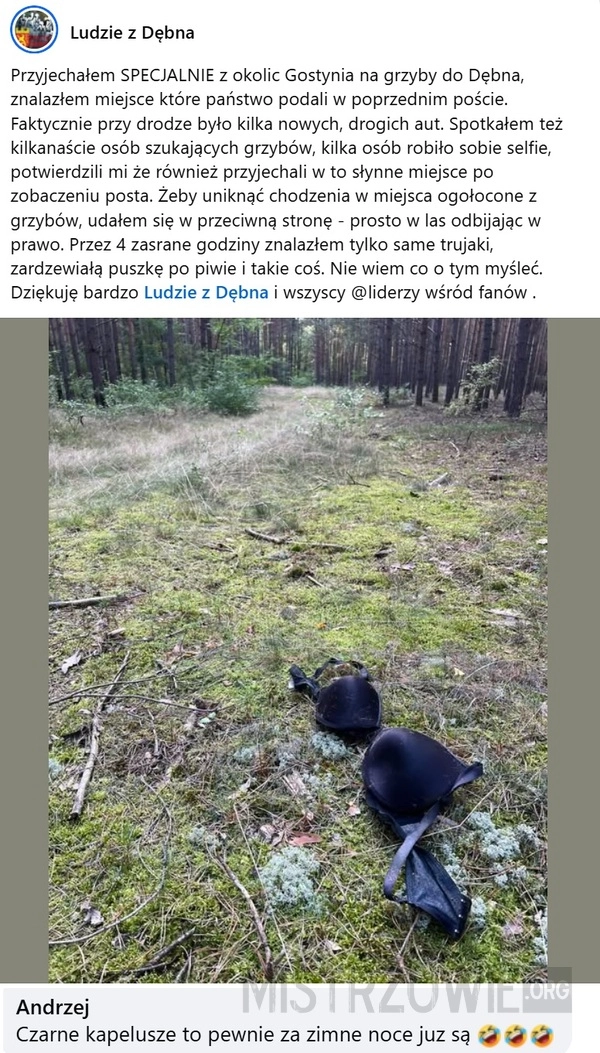 
    Grzyby