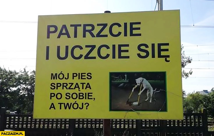 
    Patrzcie i uczcie się mój pies sprząta po sobie a Twój?