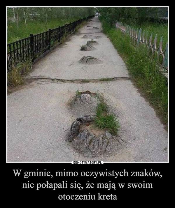 
    W gminie, mimo oczywistych znaków, nie połapali się, że mają w swoim otoczeniu kreta