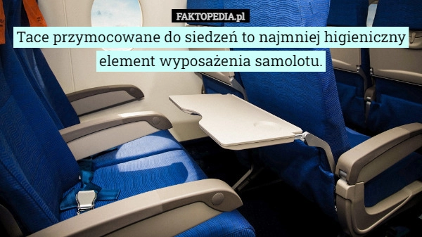 
    
			Tace przymocowane do siedzeń to najmniej higieniczny element wyposażenia...					