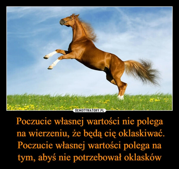 
    Poczucie własnej wartości nie polega
 na wierzeniu, że będą cię oklaskiwać. Poczucie własnej wartości polega na tym, abyś nie potrzebował oklasków