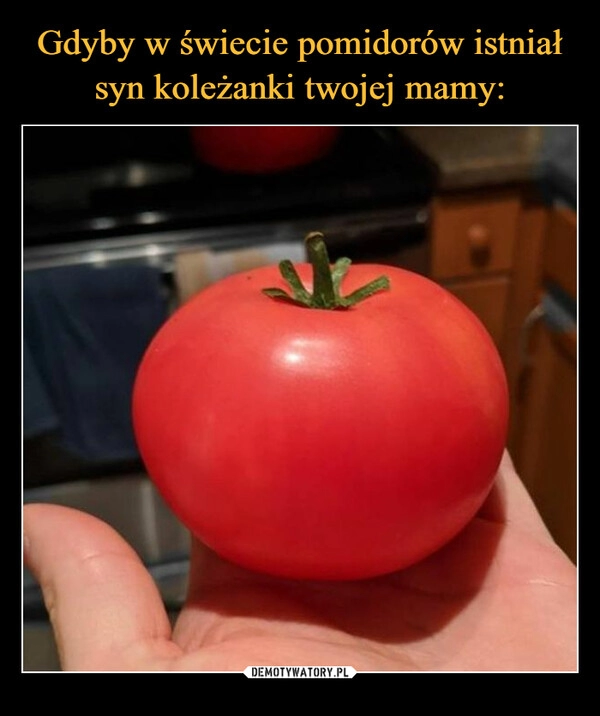 
    Gdyby w świecie pomidorów istniał syn koleżanki twojej mamy: