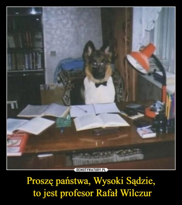 
    Proszę państwa, Wysoki Sądzie,
 to jest profesor Rafał Wilczur