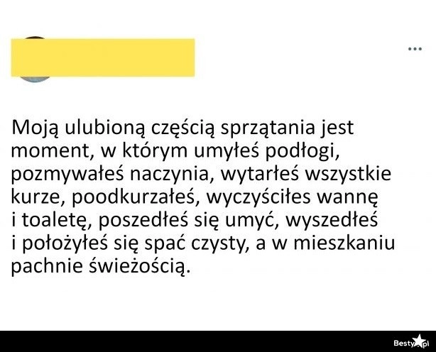 
    Ulubiona część sprzątania 