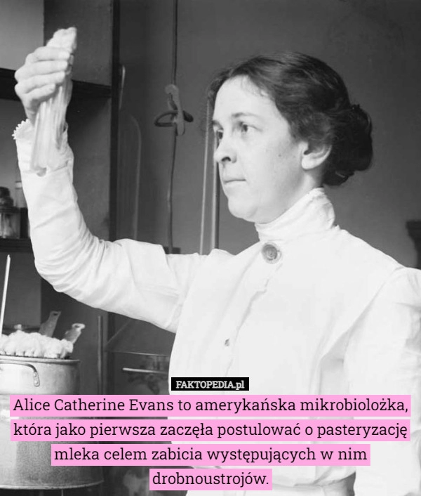 
    Alice Catherine Evans to amerykańska mikrobiolożka, która jako pierwsza