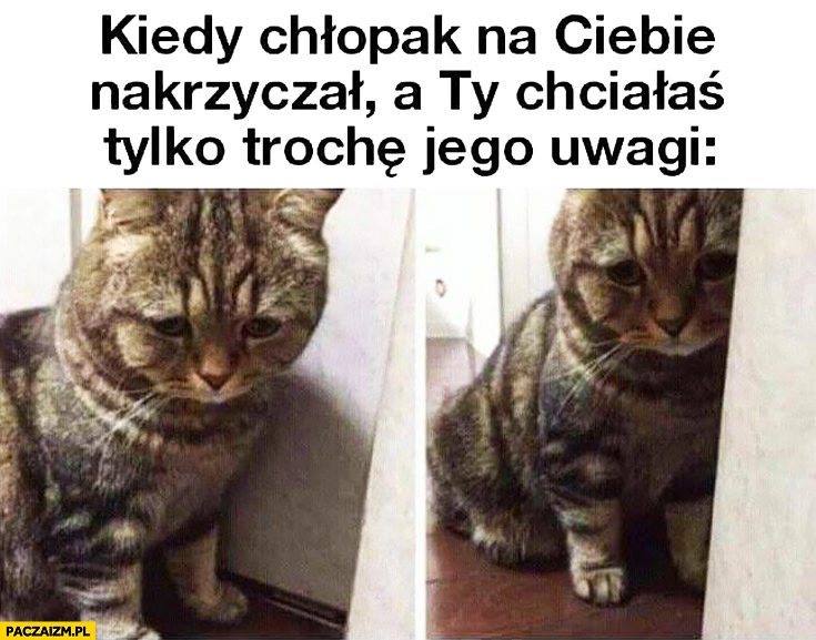 
    Kiedy chłopak na Ciebie nakrzyczał a Ty chciałaś tylko trochę jego uwagi smutny kot
