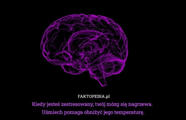 
    Kiedy jesteś zestresowany, twój mózg się nagrzewa. 
Uśmiech pomaga obniżyć