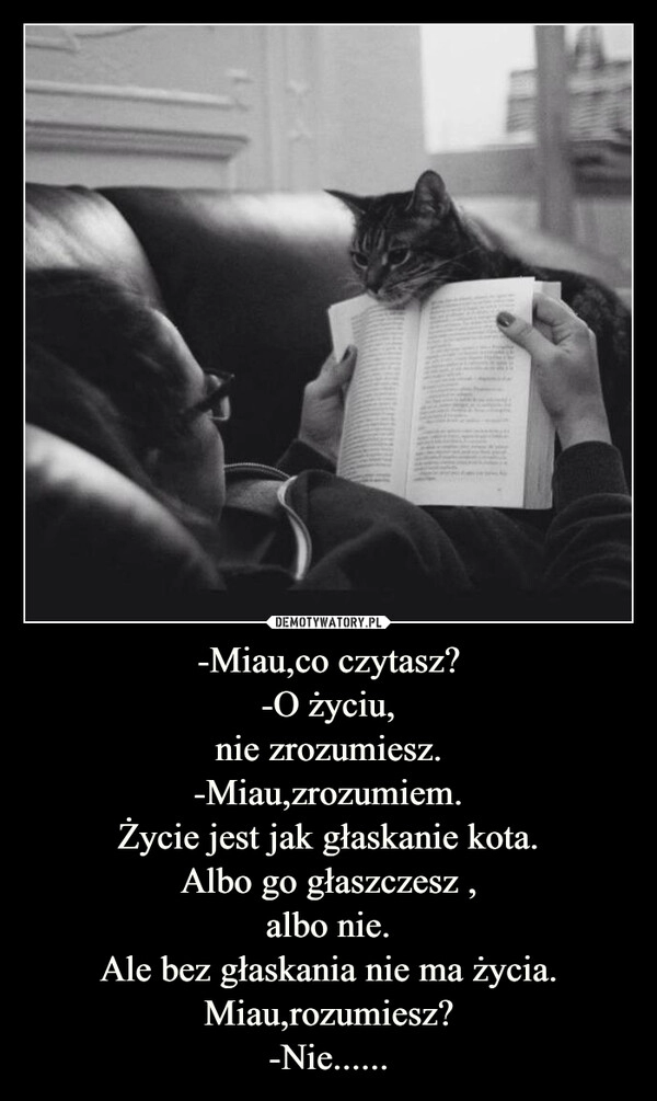 
    -Miau,co czytasz?
-O życiu,
nie zrozumiesz.
-Miau,zrozumiem.
Życie jest jak głaskanie kota.
Albo go głaszczesz ,
albo nie.
Ale bez głaskania nie ma życia.
Miau,rozumiesz?
-Nie......