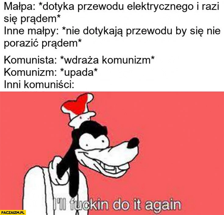 
    Małpa dotyka przewodu razi się prądem inne małpy nie dotykają, komunista wdraża komunizm upada inni komuniści zrobię to jeszcze raz