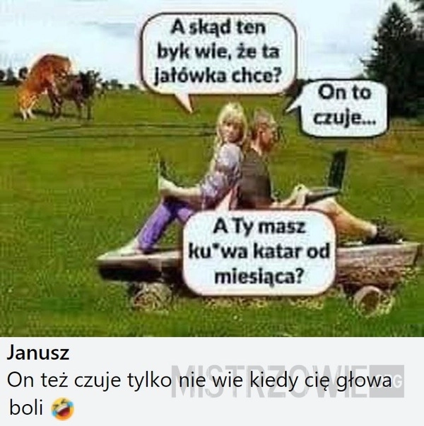 
    Jałówka