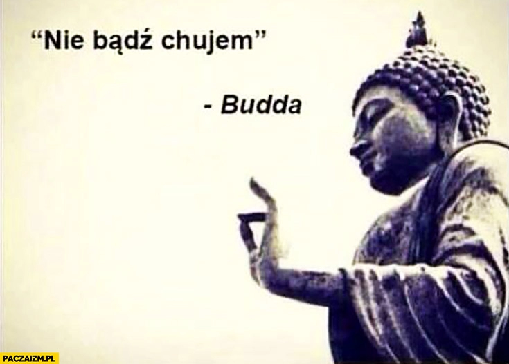 
    Nie bądź chamem Budda cytat