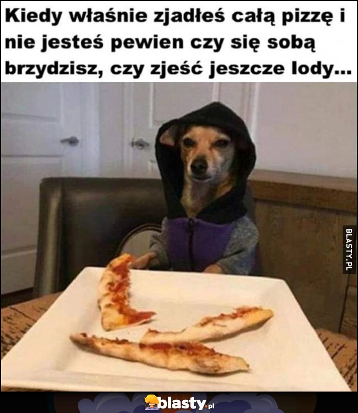 
    Pies kiedy właśnie zjadłeś cała pizzę i nie jesteś pewien czy się sobą brzydzisz, czy zjeść jeszcze lody