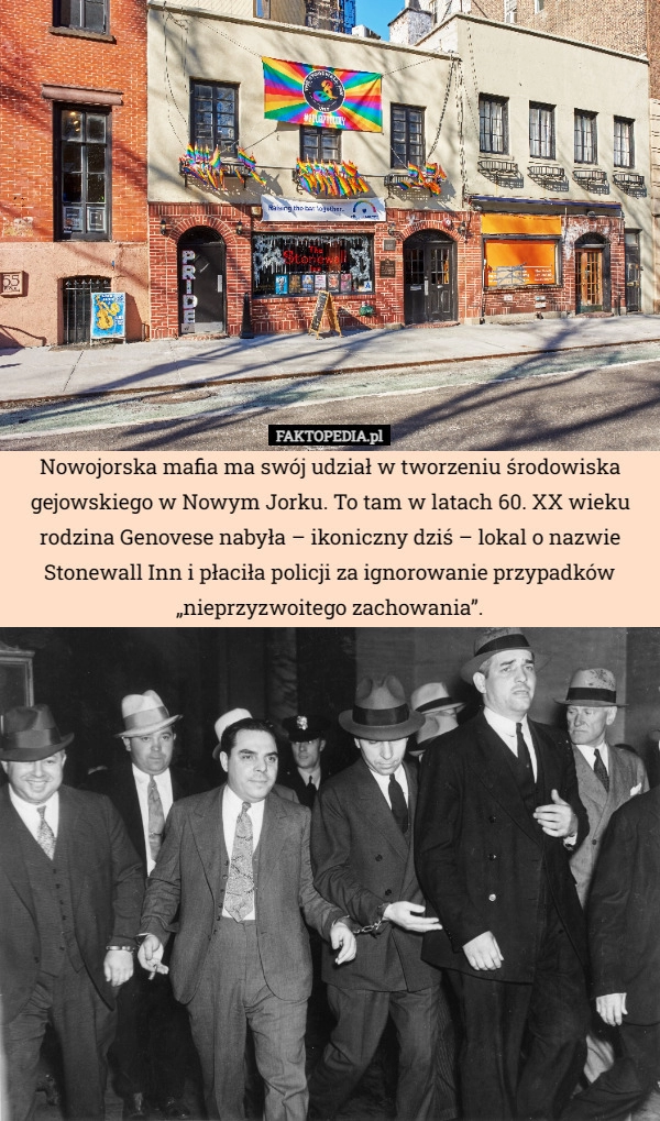 
    Nowojorska mafia ma swój udział w tworzeniu środowiska gejowskiego w Nowym...