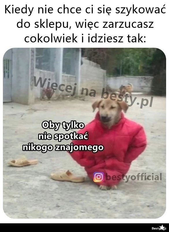 
    I na pewno kogoś spotkasz 