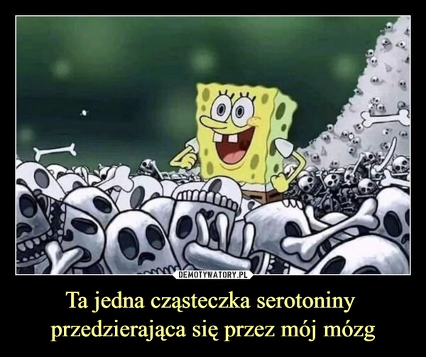 
    Ta jedna cząsteczka serotoniny 
przedzierająca się przez mój mózg