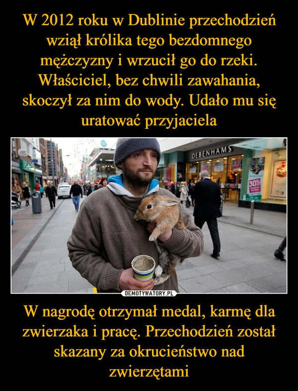 
    W 2012 roku w Dublinie przechodzień wziął królika tego bezdomnego mężczyzny i wrzucił go do rzeki. Właściciel, bez chwili zawahania, skoczył za nim do wody. Udało mu się uratować przyjaciela W nagrodę otrzymał medal, karmę dla zwierzaka i pracę. Przechodzień został skazany za okrucieństwo nad zwierzętami