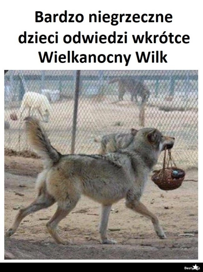 
    Wielkanocny wilk 