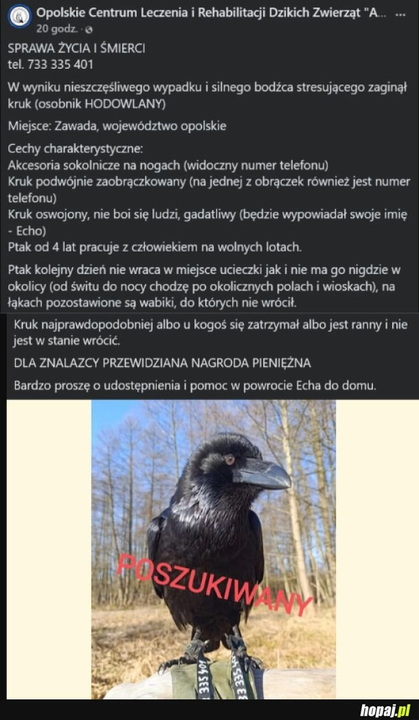 
    Pomożemy? 