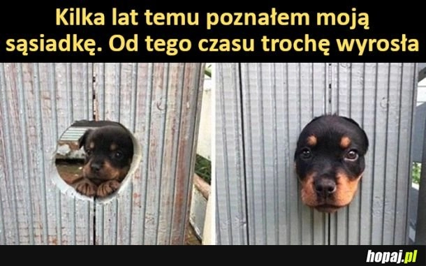 
    Moja sąsiadka