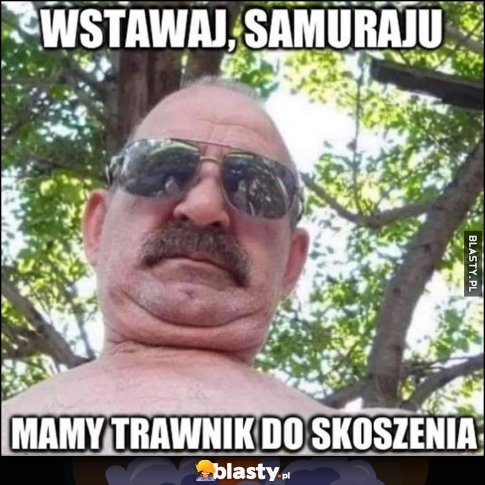 
    Wstawaj samuraju mamy trawnik do skoszenia typowy Janusz