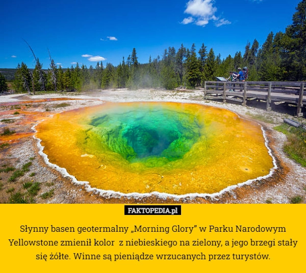 
    Słynny basen geotermalny „Morning Glory” w Parku Narodowym Yellowstone zmienił