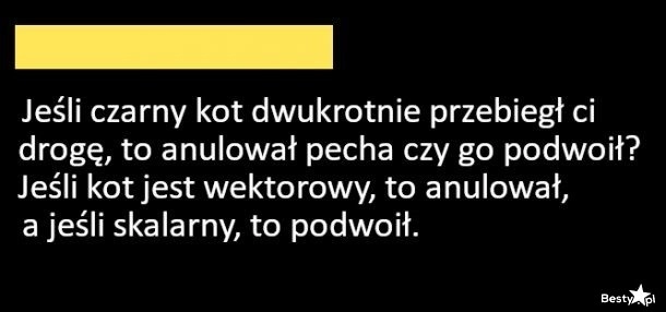 
    Czarny kot 