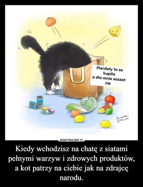 
    Kiedy wchodzisz na chatę z siatami pełnymi warzyw i zdrowych produktów, a kot patrzy na ciebie jak na zdrajcę narodu.