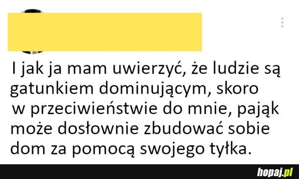 
    I jak ja mam w to uwierzyć?