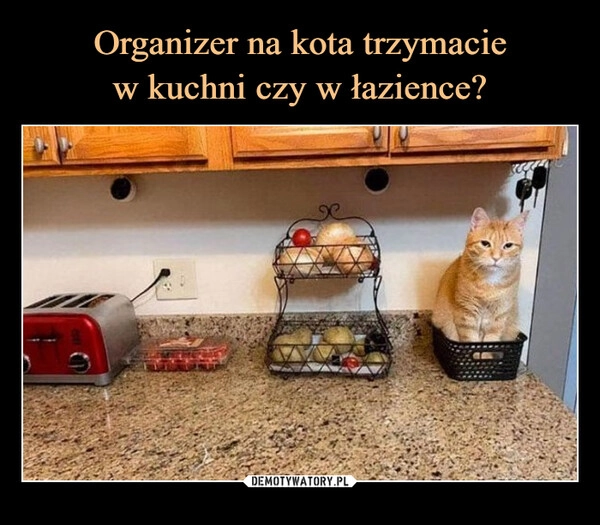 
    Organizer na kota trzymacie
w kuchni czy w łazience?