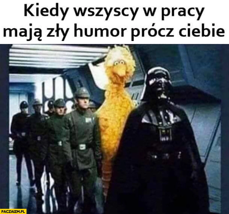 
    Kiedy wszyscy w pracy maja humor prócz Ciebie ptak ulica sezamkowa Vader