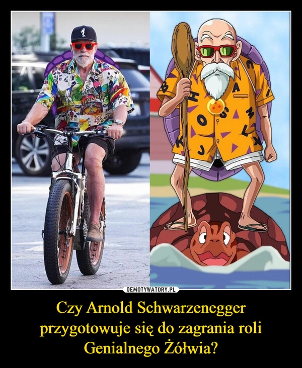 
    
Czy Arnold Schwarzenegger przygotowuje się do zagrania roli Genialnego Żółwia? 