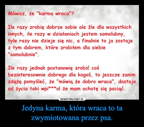 
    Jedyna karma, która wraca to ta zwymiotowana przez psa.