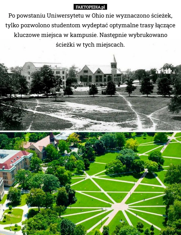 
    Po powstaniu Uniwersytetu w Ohio nie wyznaczono ścieżek, tylko pozwolono