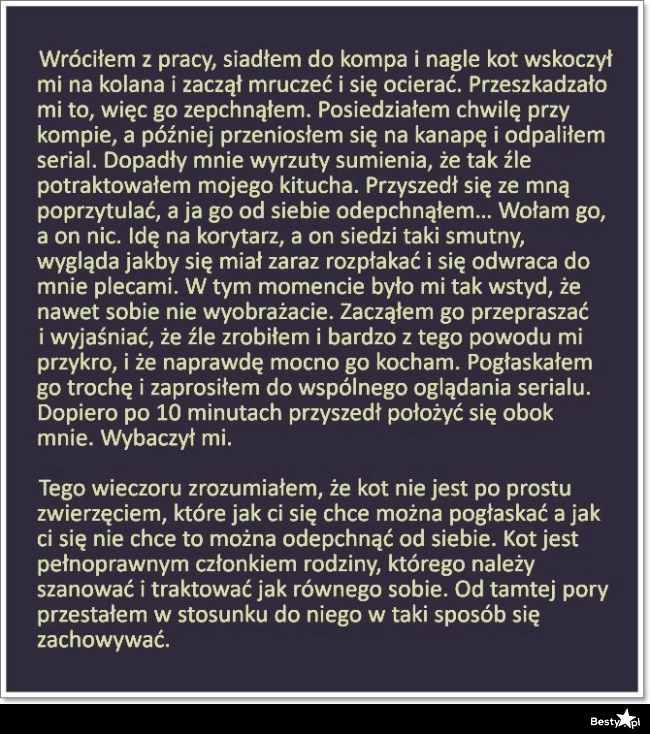 
    Kilka słów o zwierzętach 