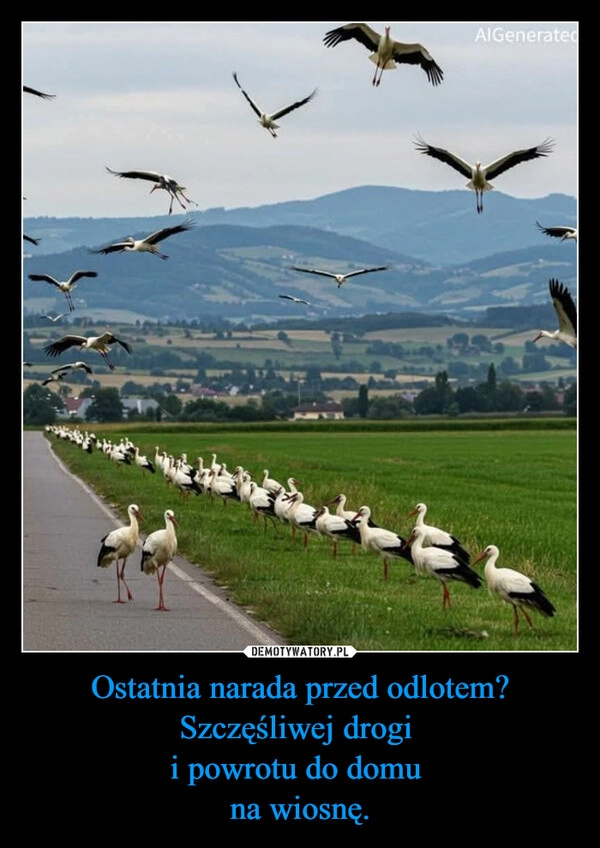 
    Ostatnia narada przed odlotem?
Szczęśliwej drogi 
i powrotu do domu 
na wiosnę.