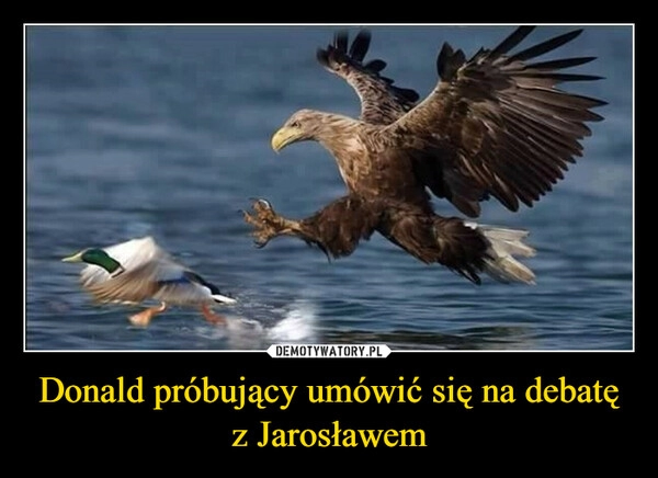 
    Donald próbujący umówić się na debatę z Jarosławem