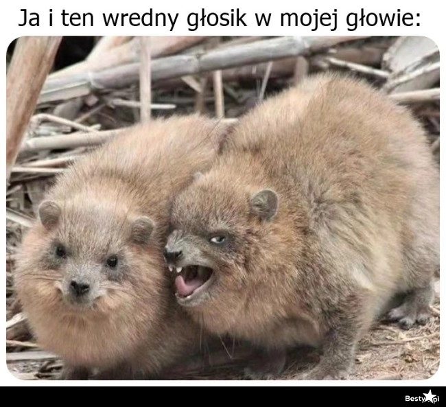 
    Najbardziej wpływowy doradca 