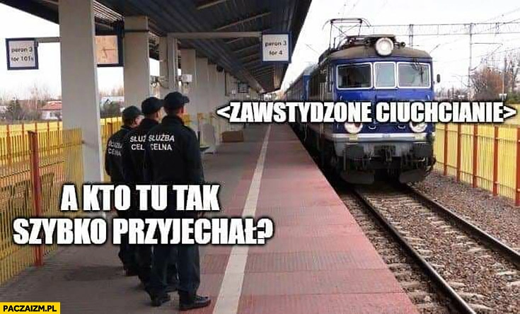 
    A kto tu tak szybko przyjechał zawstydzone ciuchcianie służba celna pociąg