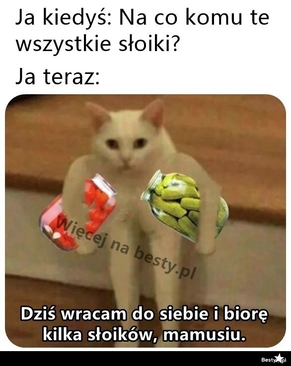 
    W końcu docenione 