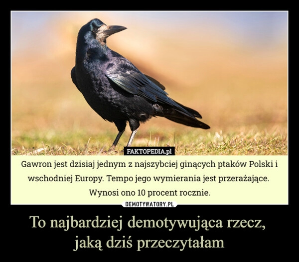 
    To najbardziej demotywująca rzecz, 
jaką dziś przeczytałam