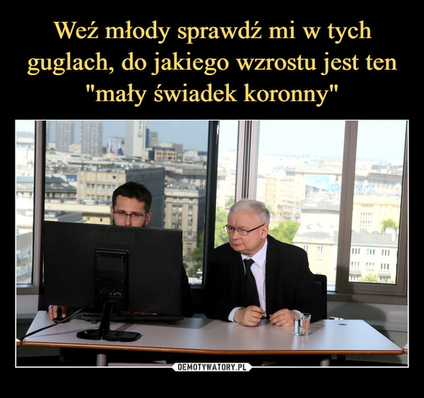 
    Weź młody sprawdź mi w tych guglach, do jakiego wzrostu jest ten "mały świadek koronny"