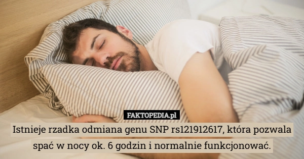 Istnieje rzadka odmiana genu SNP rs121912617, która pozwala spać w nocy