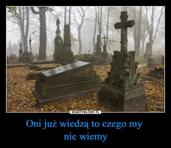 
    Oni już wiedzą to czego my
nie wiemy 