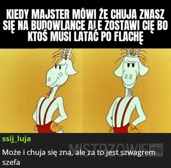
    Majster