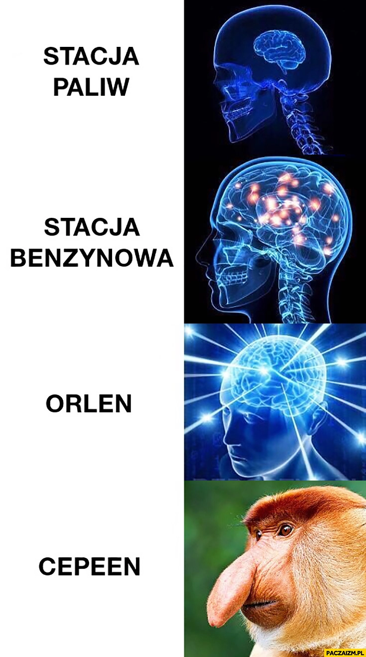 
    Stacja paliw, stacja benzynowa, Orlen, Cepeen typowy Polak nosacz