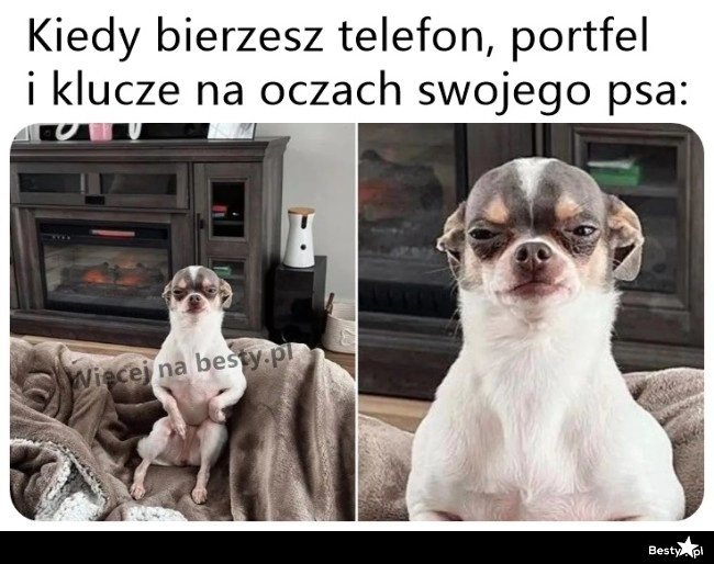 
    A gdzie to się wychodzi beze mnie? 