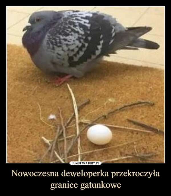 
    Nowoczesna deweloperka przekroczyła granice gatunkowe