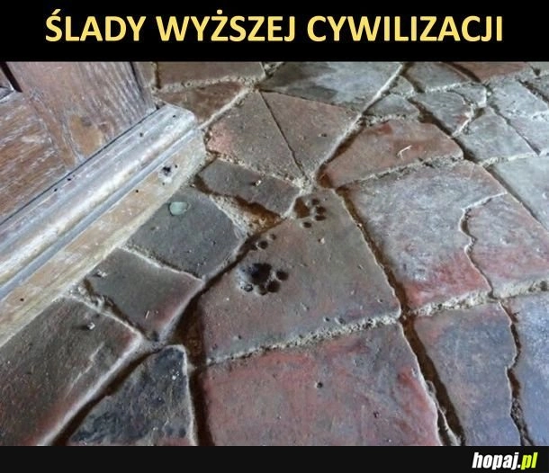 
    Cywilizacja