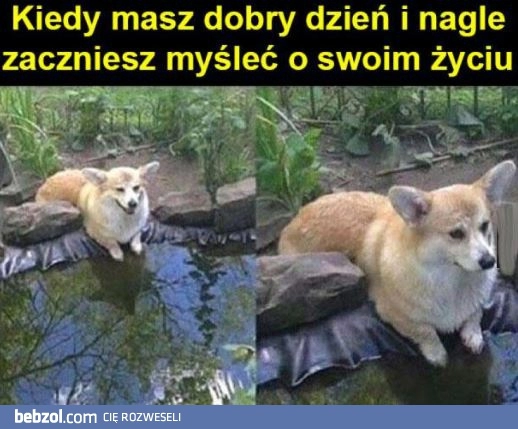 
    Kiedy masz dobry dzień 