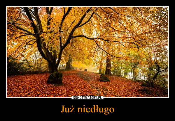 
    Już niedługo